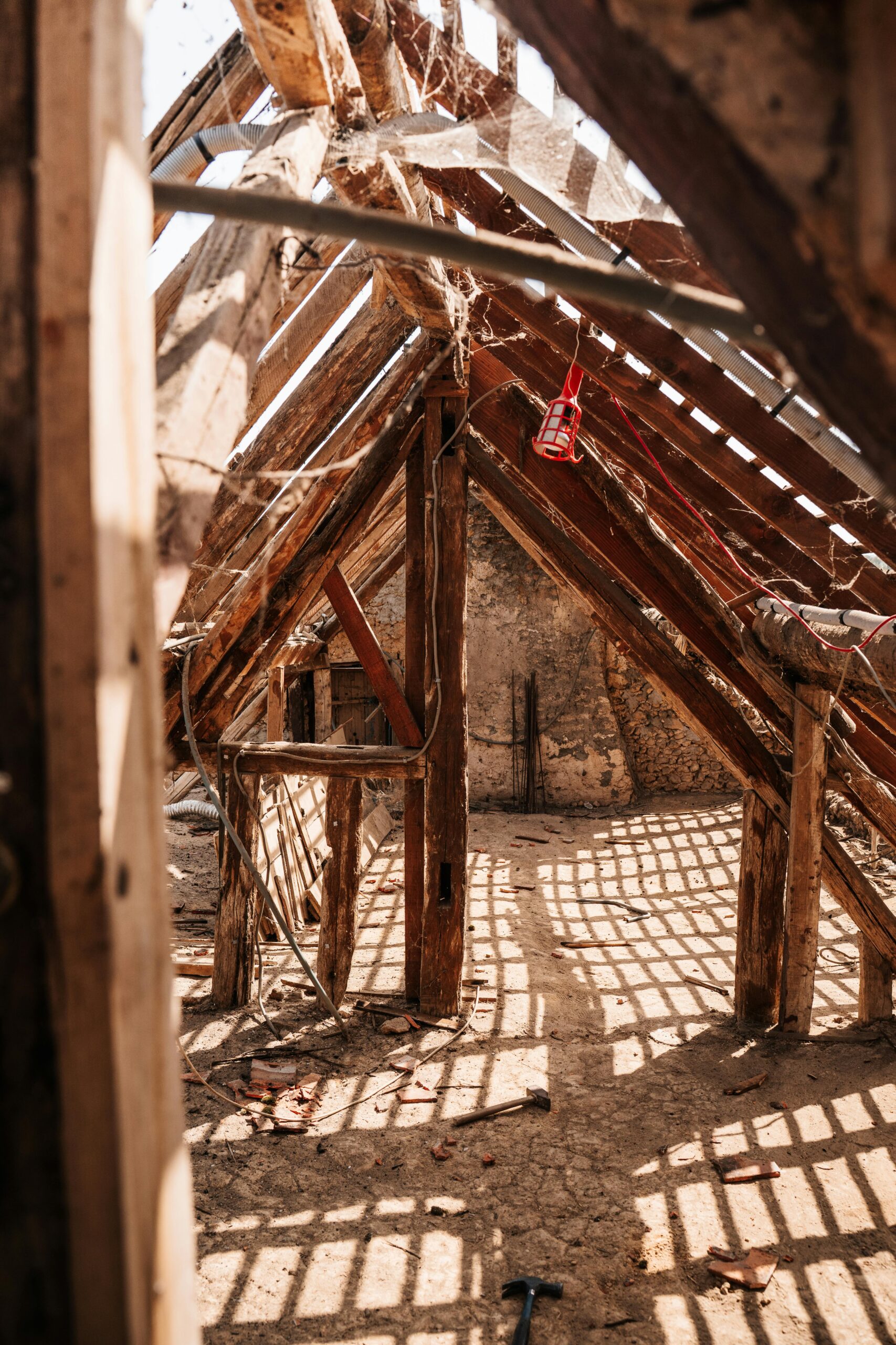 pexels clement proust 363898785 31763540